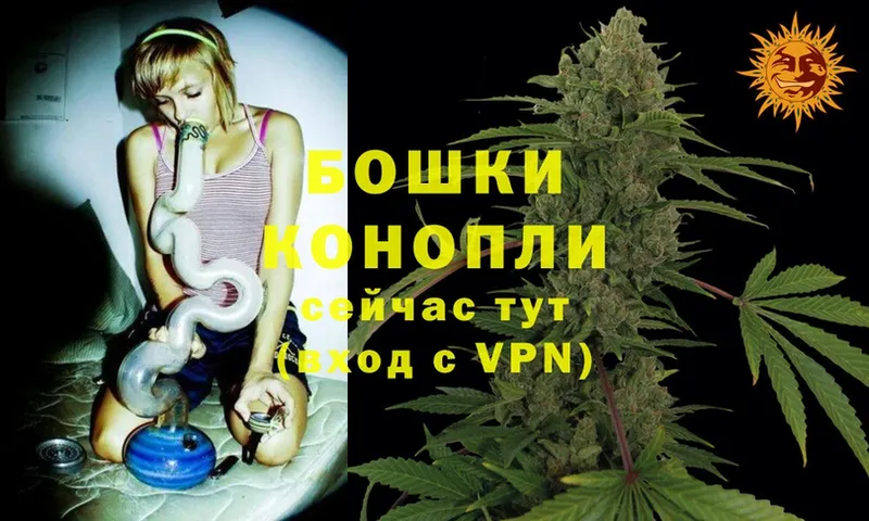 маркетплейс клад  Правдинск  Марихуана SATIVA & INDICA 